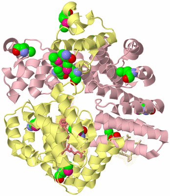 Image Biological Unit 2