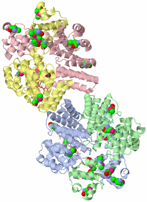 Image Biological Unit 3