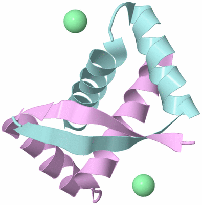 Image Biological Unit 3