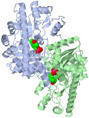 Image Asym./Biol. Unit