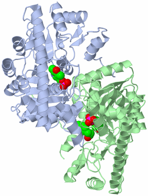 Image Asym./Biol. Unit