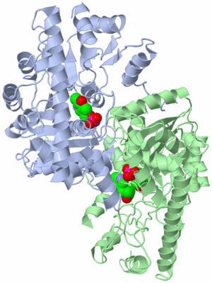 Image Asym./Biol. Unit