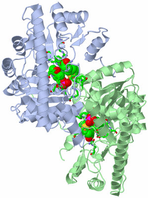 Image Asym./Biol. Unit - sites