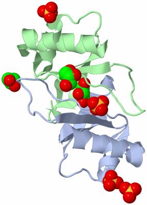 Image Biological Unit 1