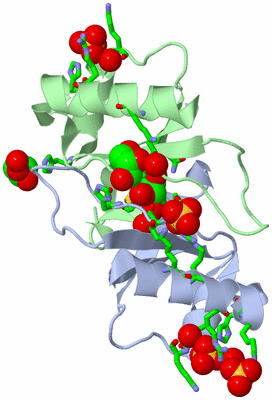 Image Biol. Unit 1 - sites