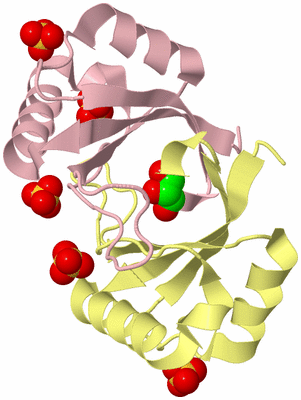 Image Biological Unit 2