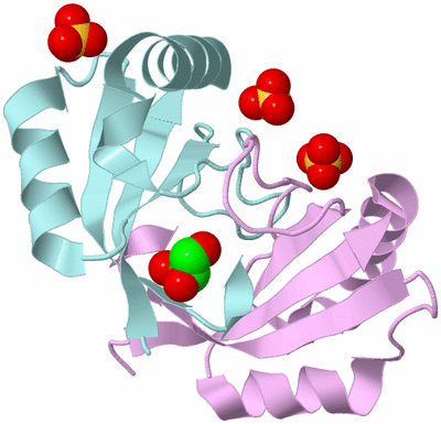 Image Biological Unit 3