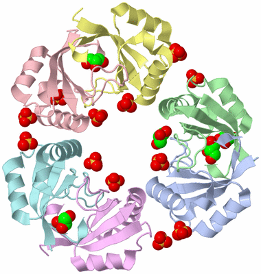 Image Biological Unit 4