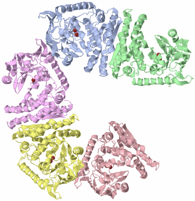 Image Asymmetric Unit