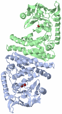 Image Biological Unit 1