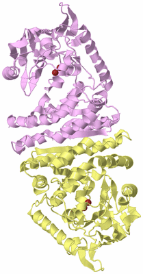 Image Biological Unit 3