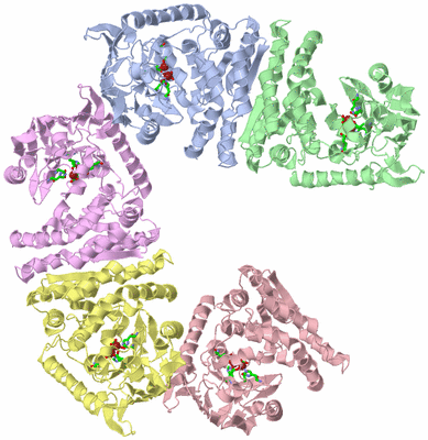 Image Asym. Unit - sites