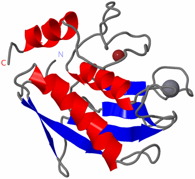 Image NMR Structure - model 1