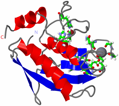 Image NMR Structure - model 1, sites