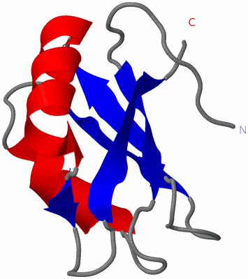 Image NMR Structure - model 1