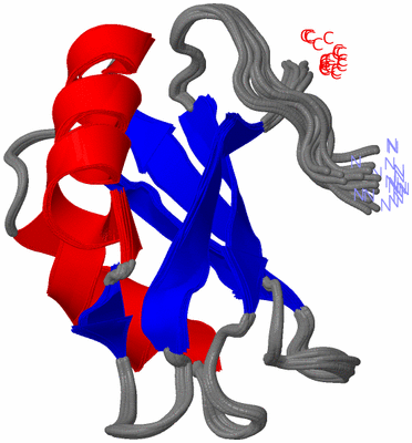 Image NMR Structure - all models