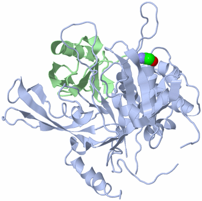 Image Biological Unit 1