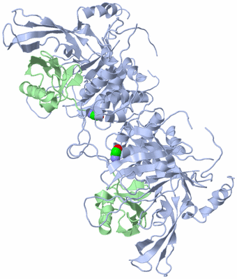 Image Biological Unit 2