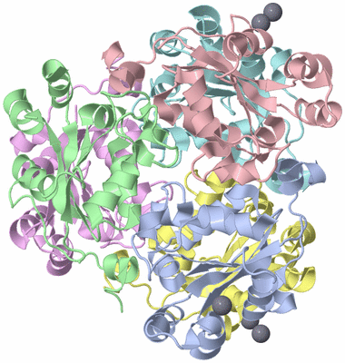 Image Asym./Biol. Unit