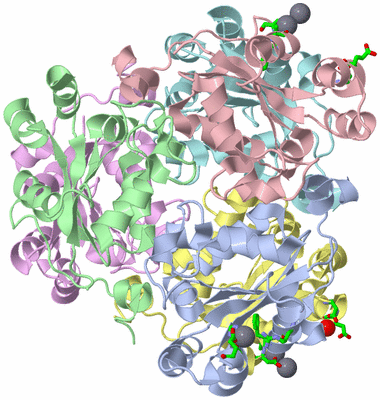 Image Asym./Biol. Unit - sites