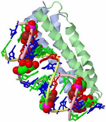 Image Asym./Biol. Unit