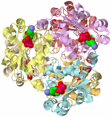 Image Biological Unit 2