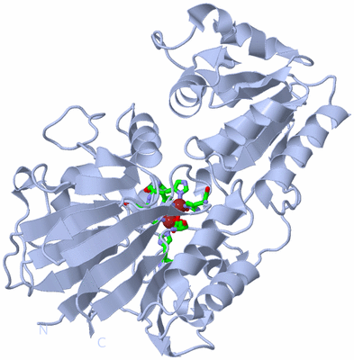 Image Biol. Unit 1 - sites