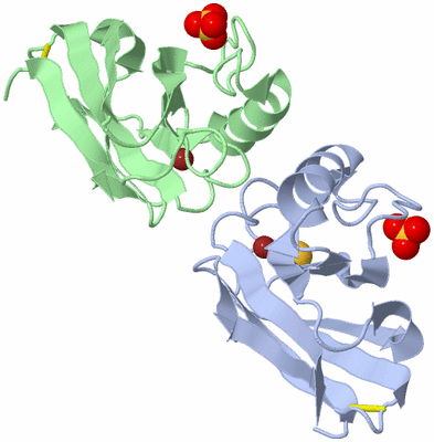 Image Asymmetric Unit