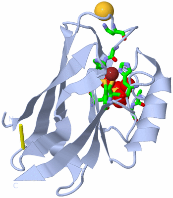 Image Biol. Unit 1 - sites