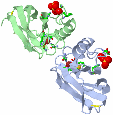 Image Asym. Unit - sites