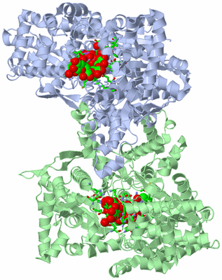 Image Asym./Biol. Unit - sites