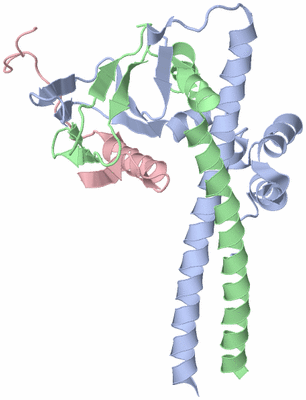 Image Biological Unit 1