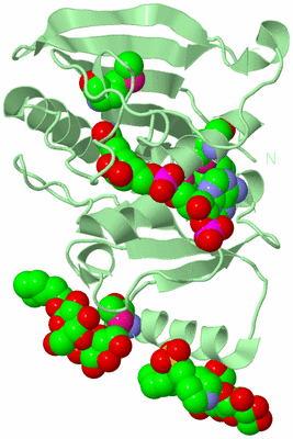 Image Biological Unit 2