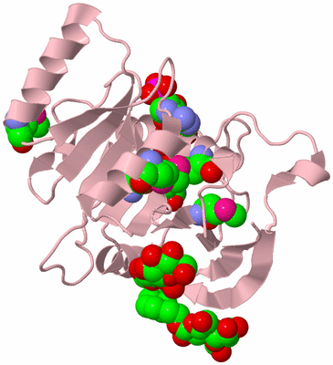 Image Biological Unit 3