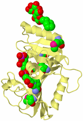 Image Biological Unit 4