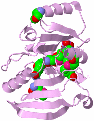 Image Biological Unit 5