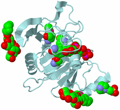 Image Biological Unit 6