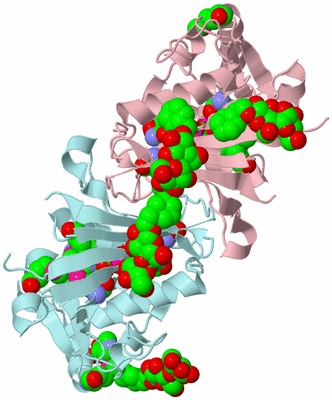 Image Biological Unit 7