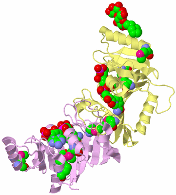 Image Biological Unit 8