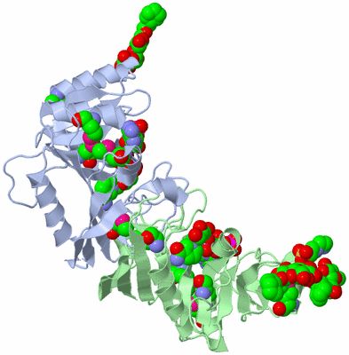 Image Biological Unit 9