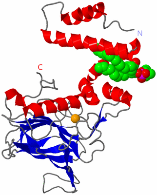 Image Asymmetric Unit