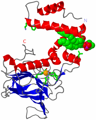 Image Asym. Unit - sites
