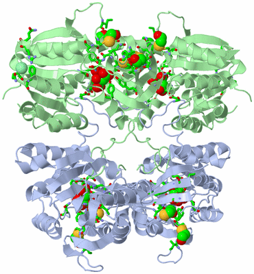 Image Biol. Unit 1 - sites