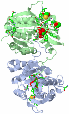 Image Asym. Unit - sites