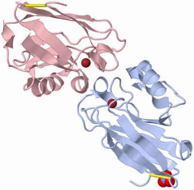 Image Biological Unit 1