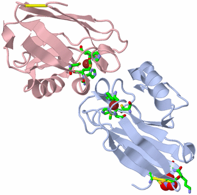 Image Biol. Unit 1 - sites