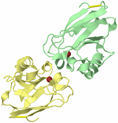 Image Biological Unit 2