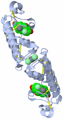 Image Biological Unit 2