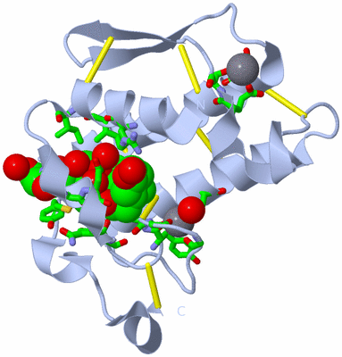 Image Biol. Unit 1 - sites