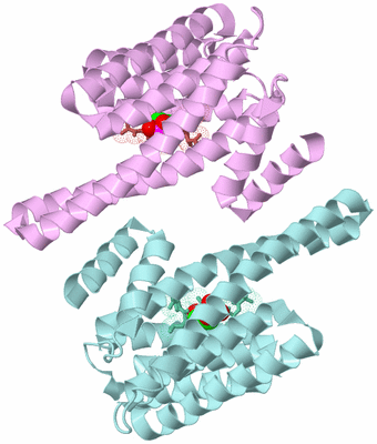 Image Biological Unit 3